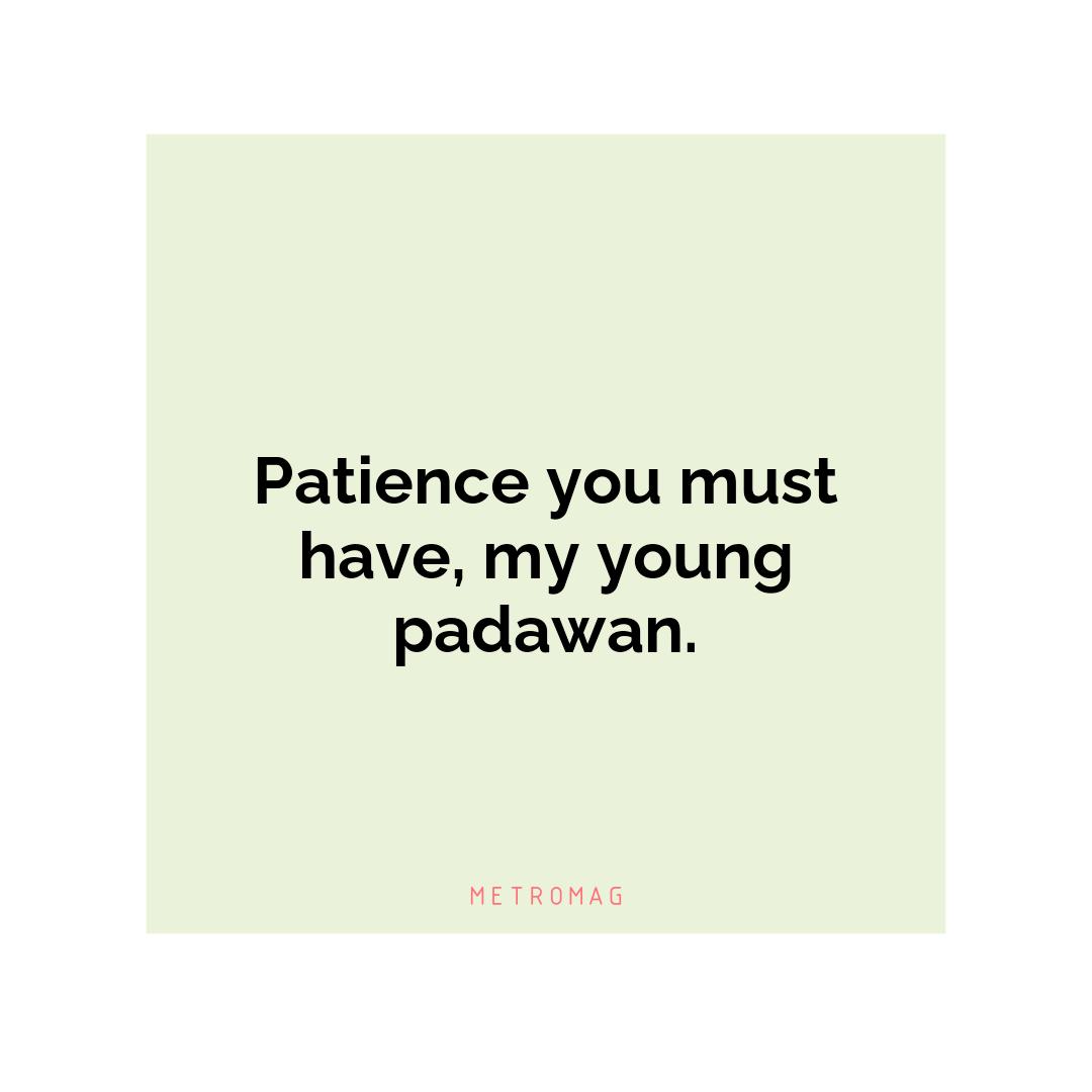 Patience you must have, my young padawan.