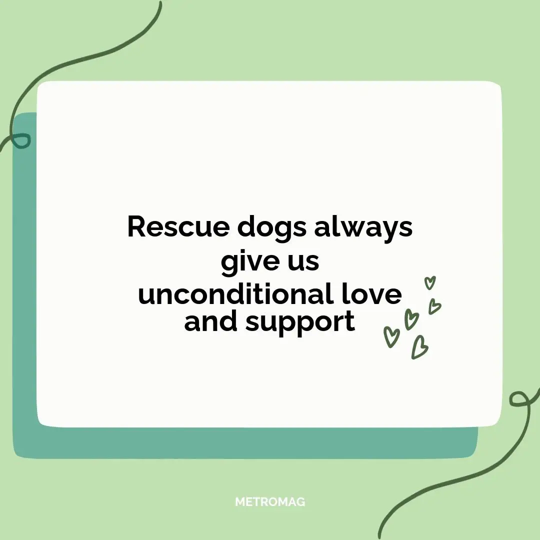 Rescue dogs always give us unconditional love and support