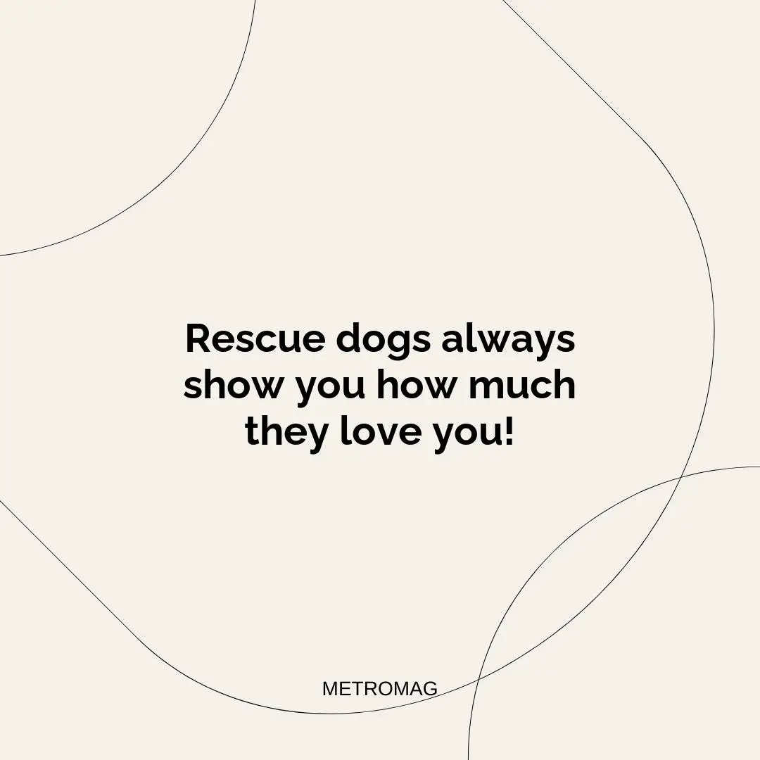 Rescue dogs always show you how much they love you!