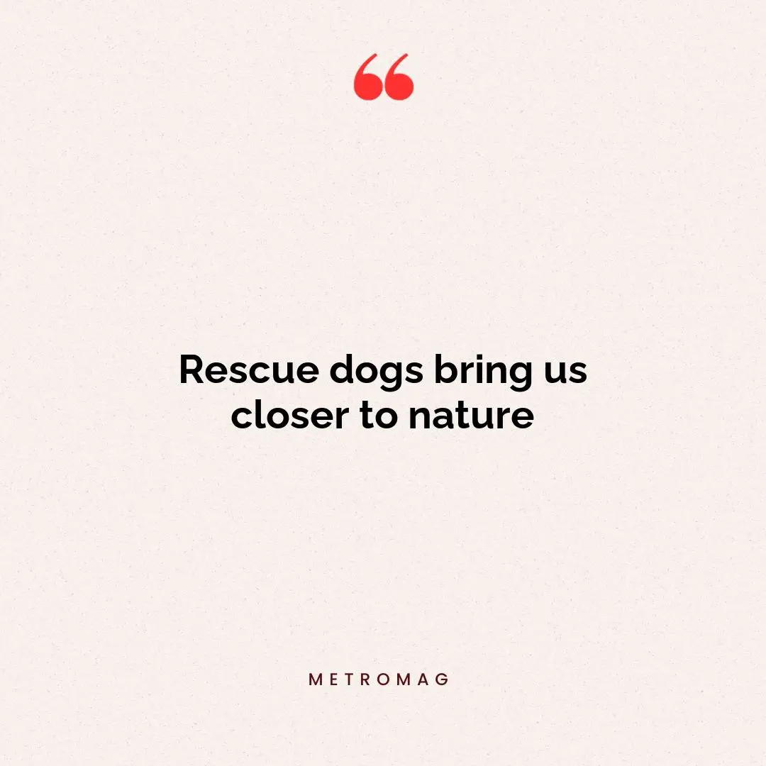 Rescue dogs bring us closer to nature