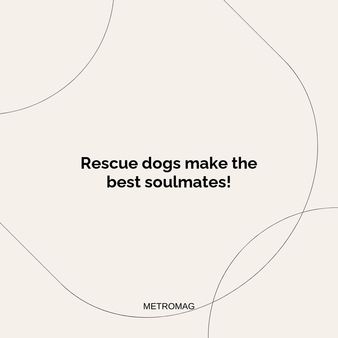 Rescue dogs make the best soulmates!