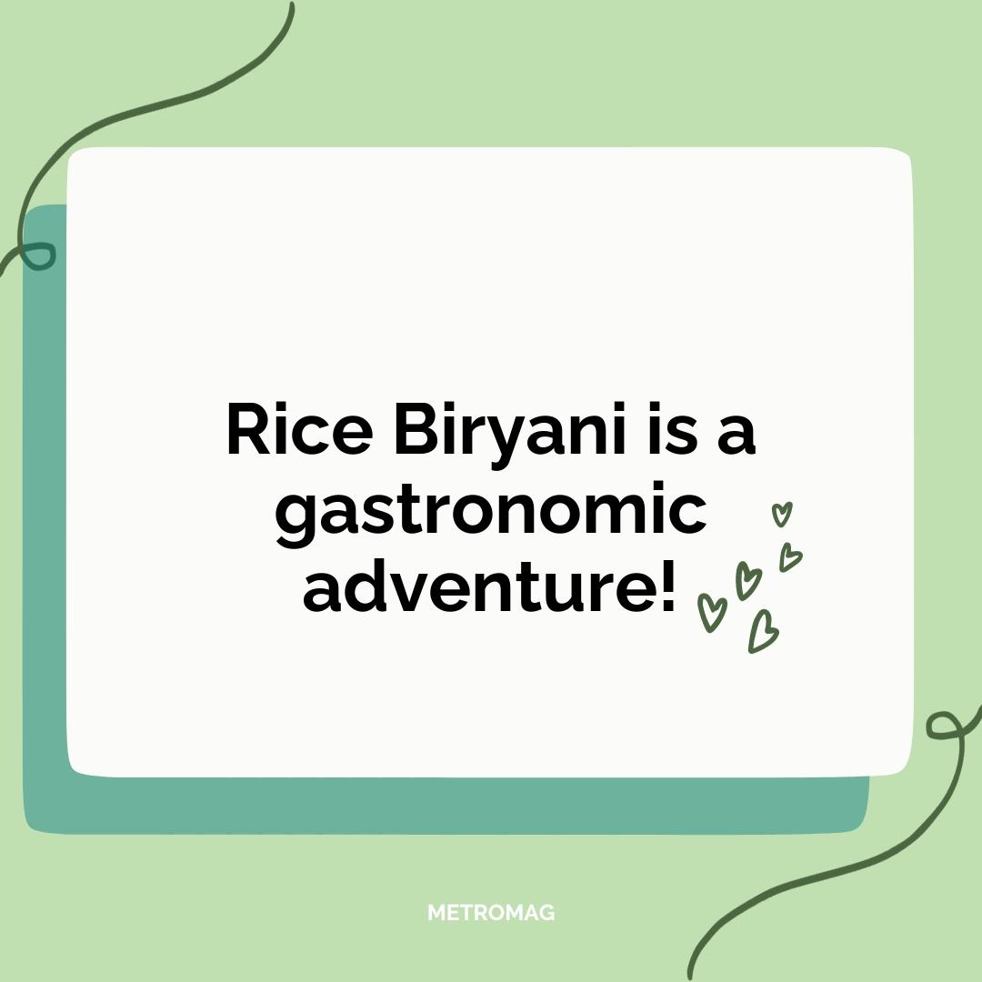 Rice Biryani is a gastronomic adventure!