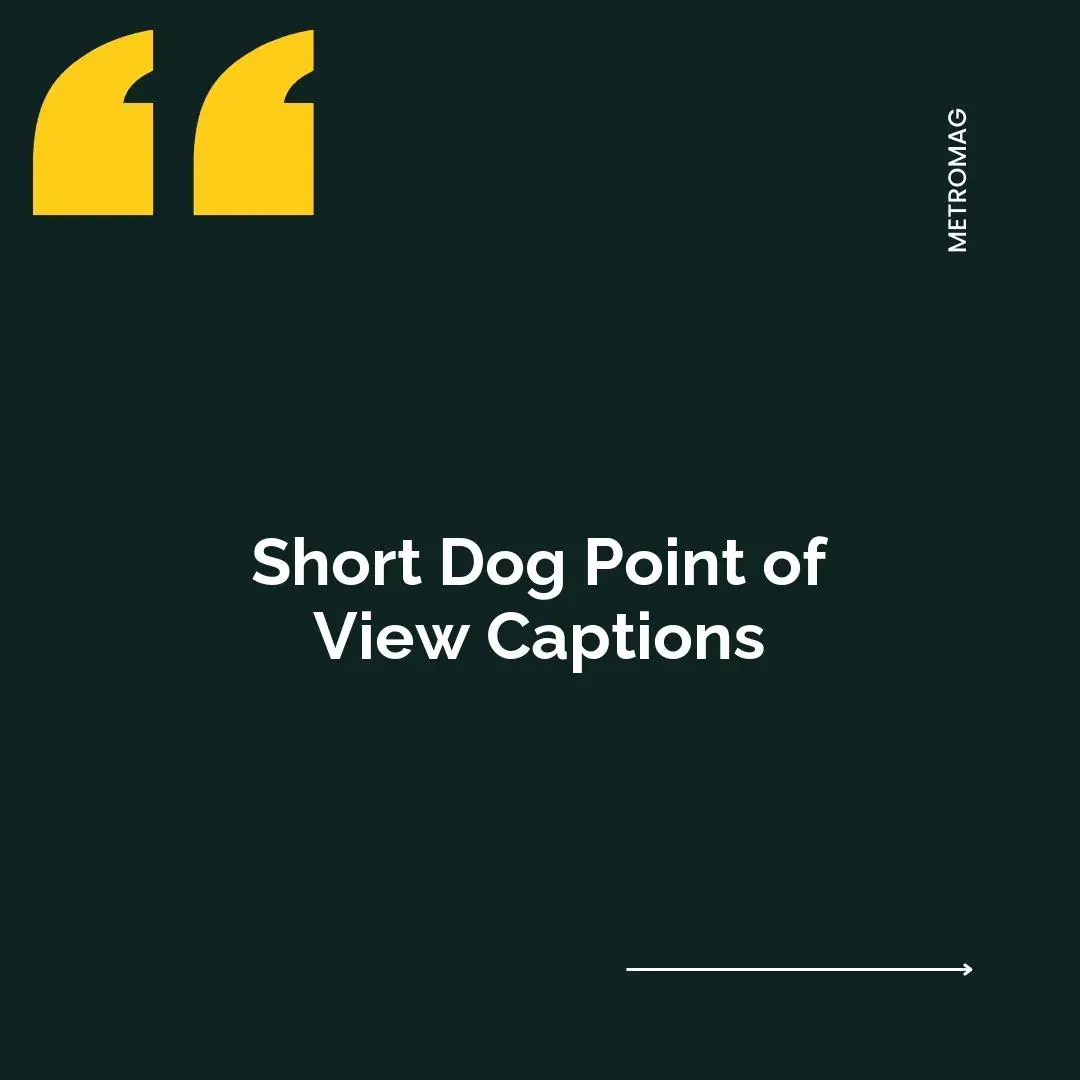 Short Dog Point of View Captions