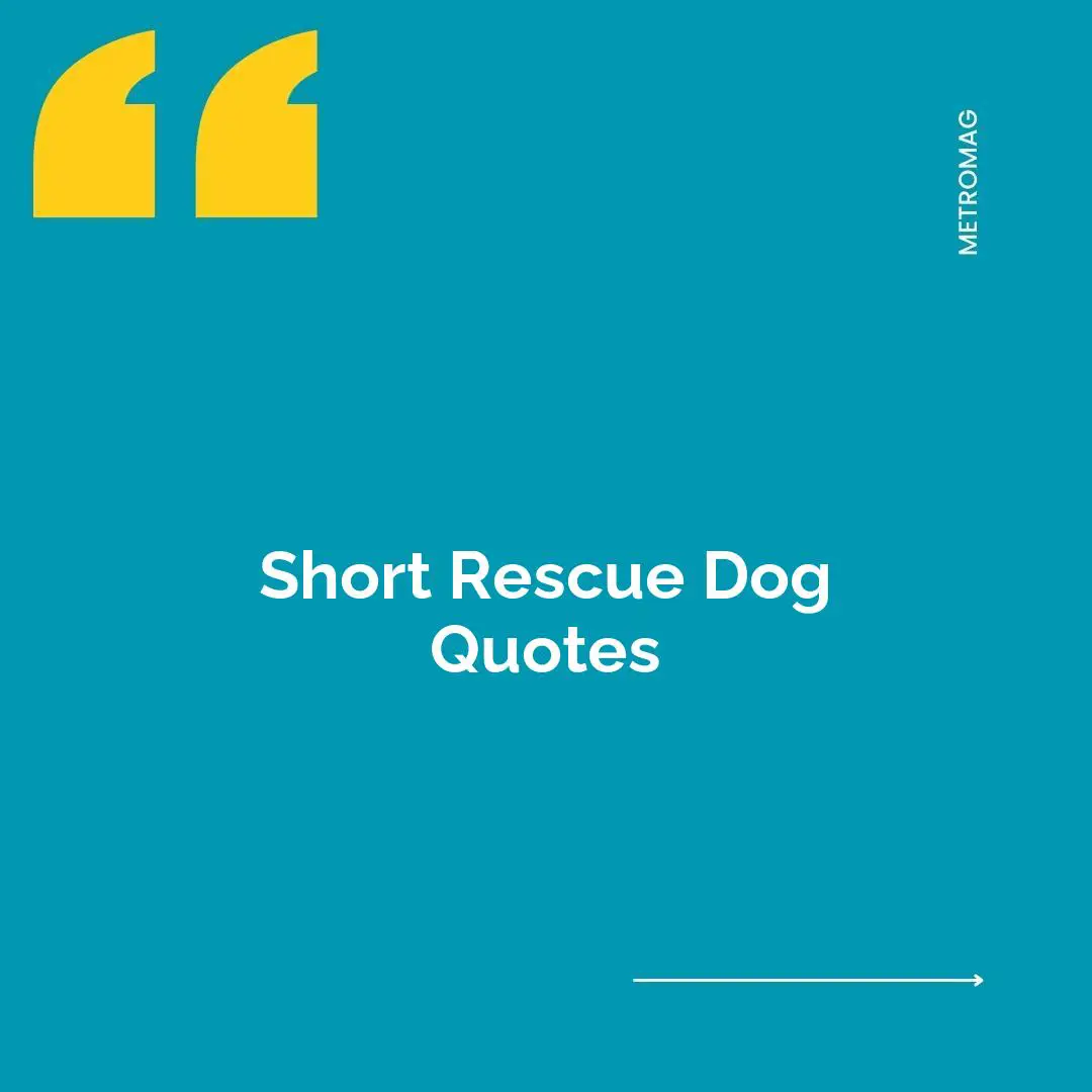 Short Rescue Dog Quotes