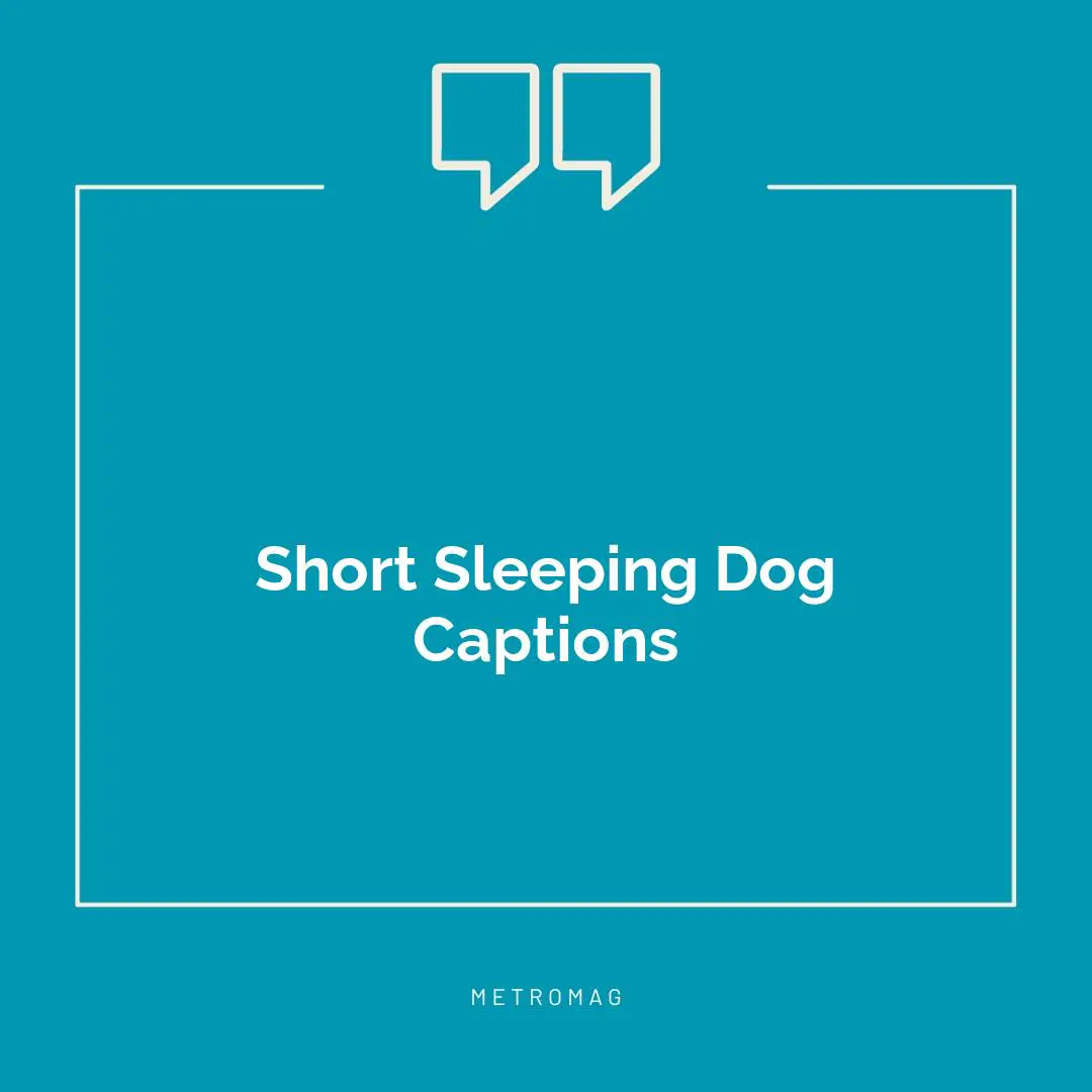 Short Sleeping Dog Captions