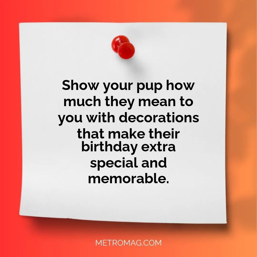 Show your pup how much they mean to you with decorations that make their birthday extra special and memorable.