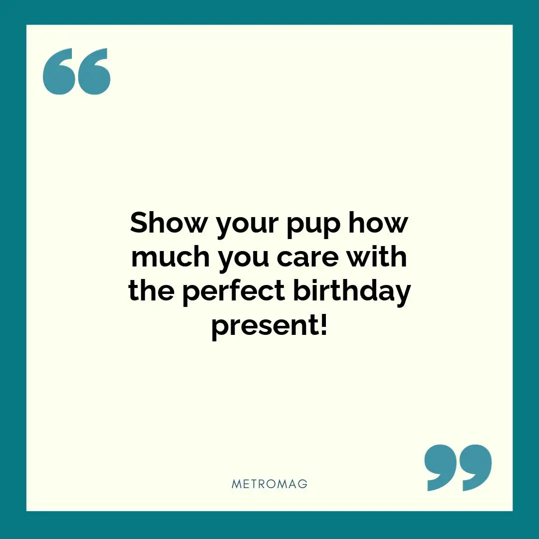 Show your pup how much you care with the perfect birthday present!