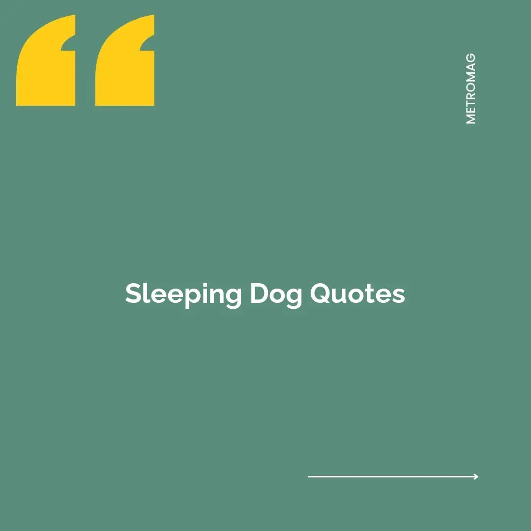 Sleeping Dog Quotes