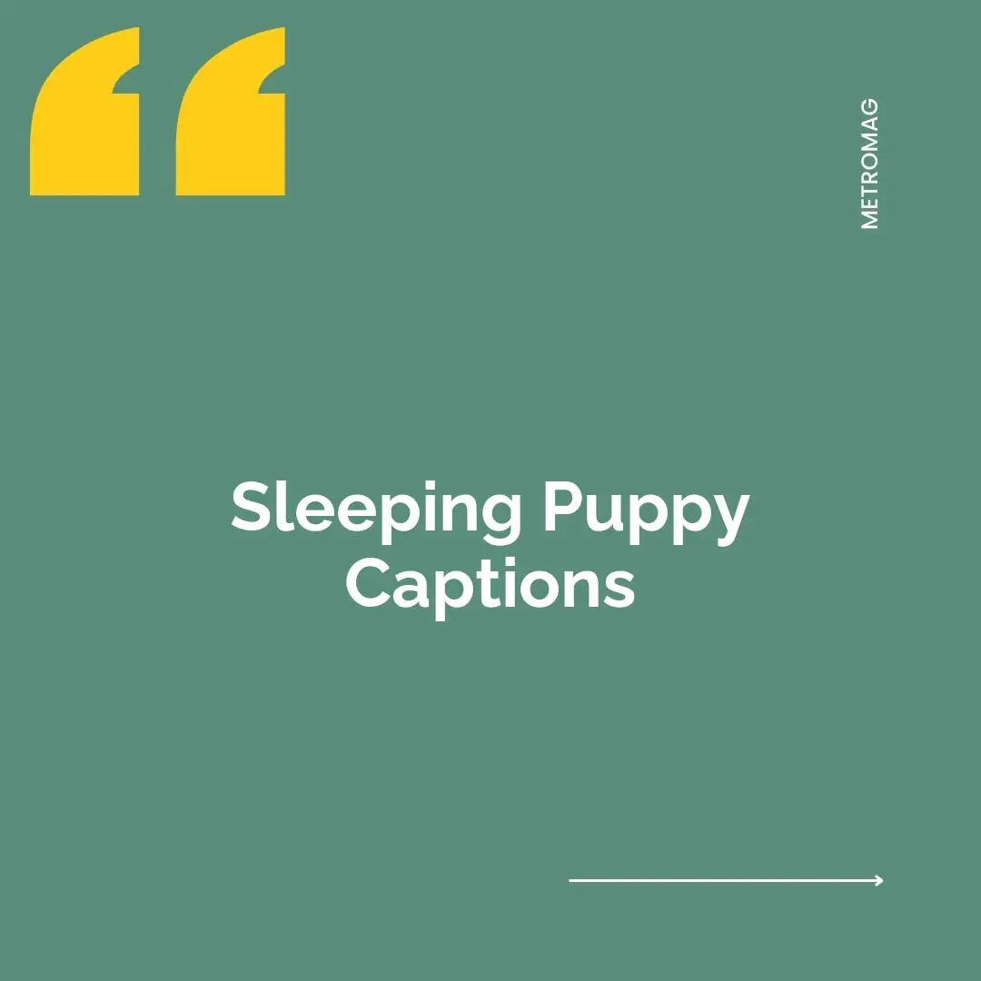 Sleeping Puppy Captions