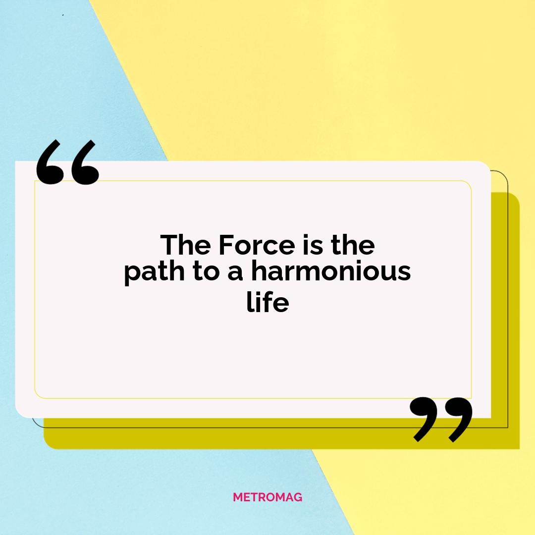 The Force is the path to a harmonious life