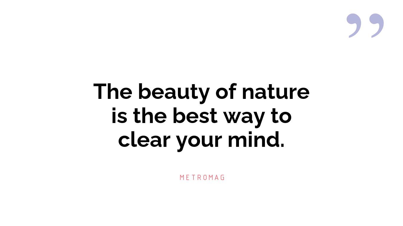 The beauty of nature is the best way to clear your mind.