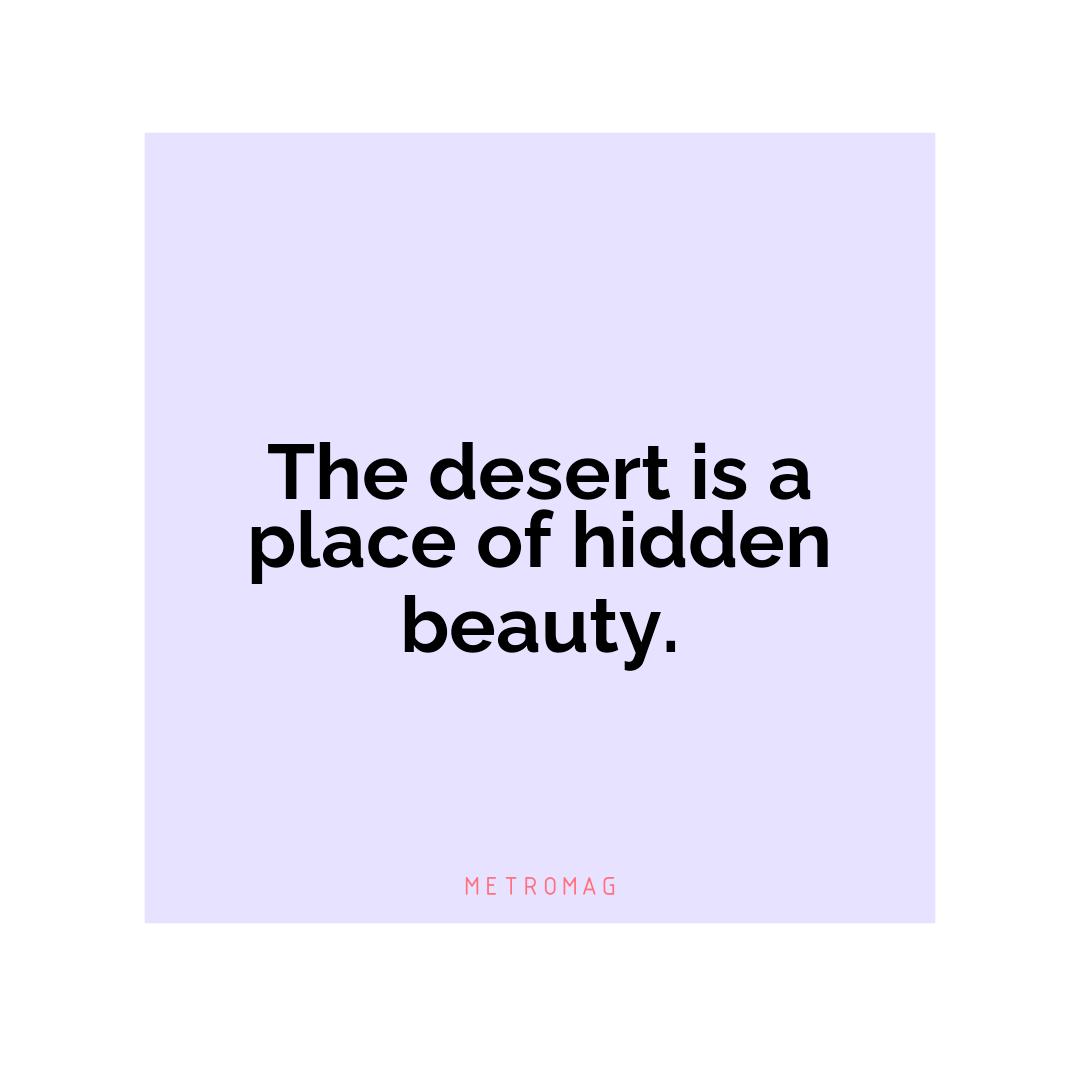 The desert is a place of hidden beauty.