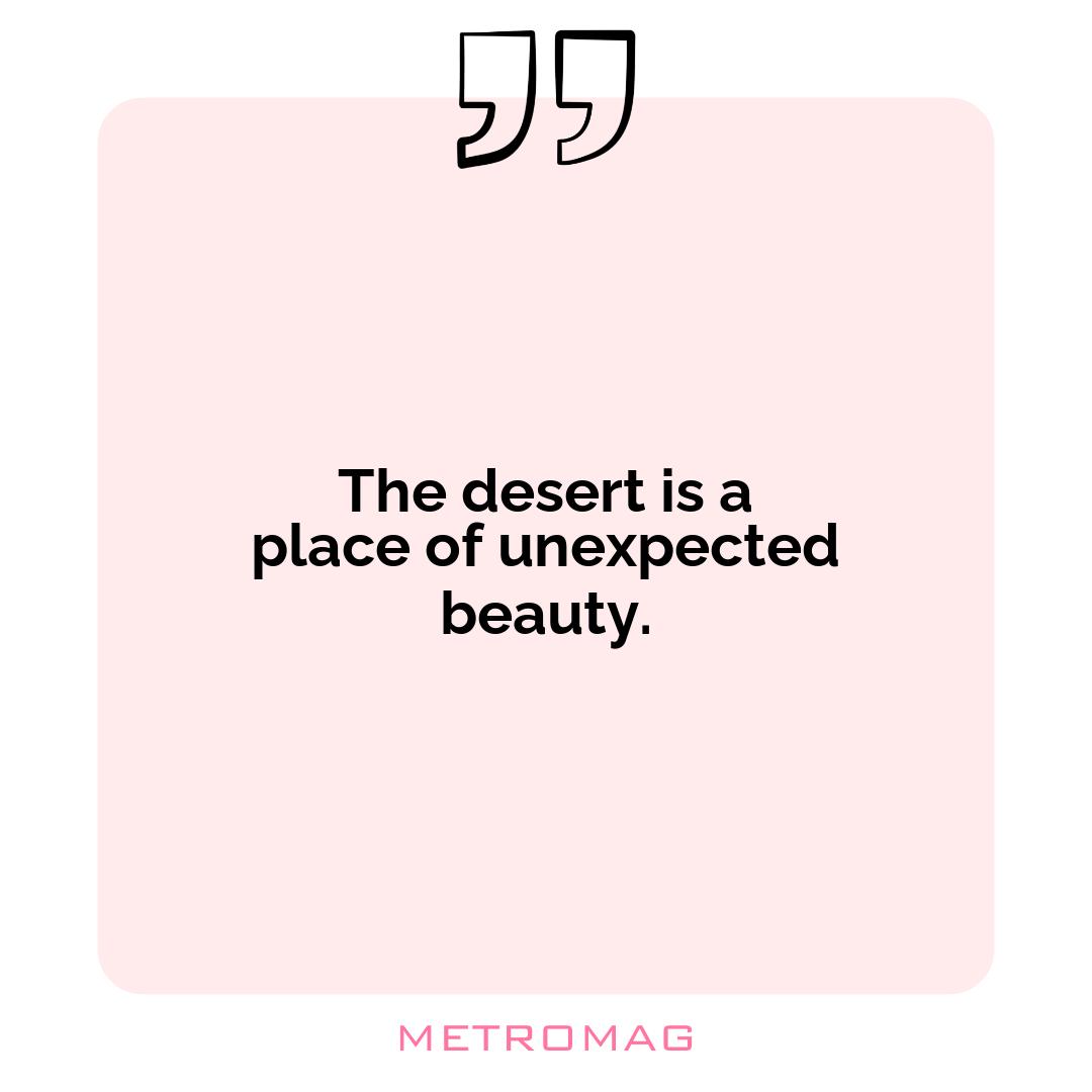 The desert is a place of unexpected beauty.