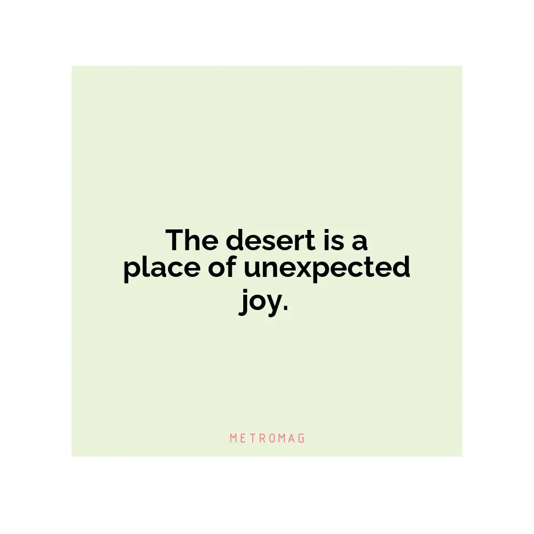 The desert is a place of unexpected joy.