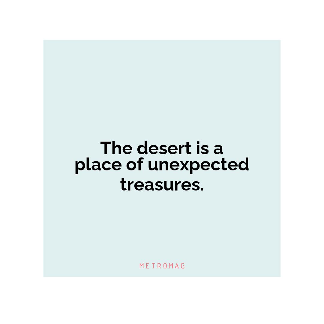 The desert is a place of unexpected treasures.
