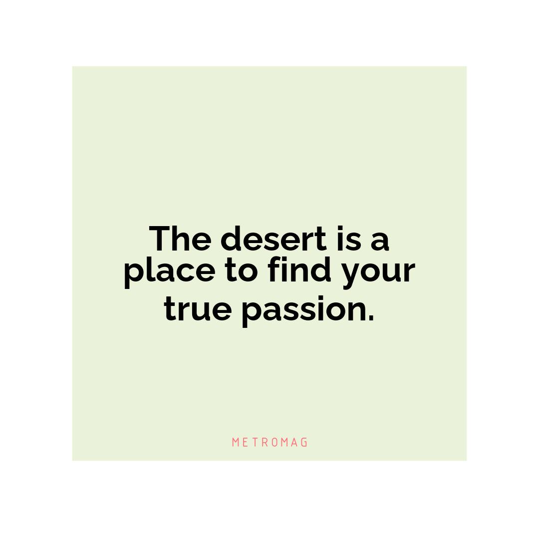 The desert is a place to find your true passion.
