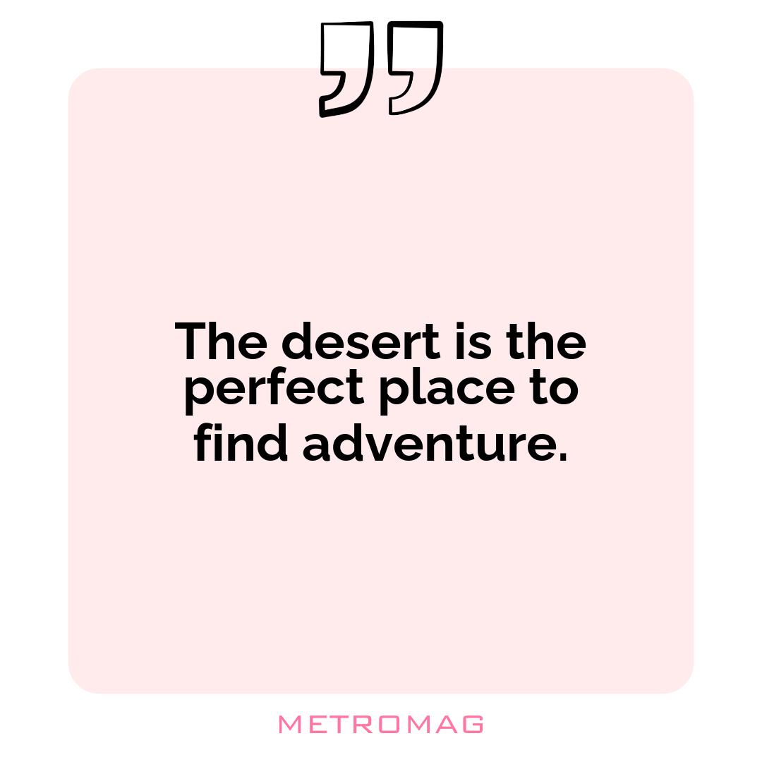 The desert is the perfect place to find adventure.