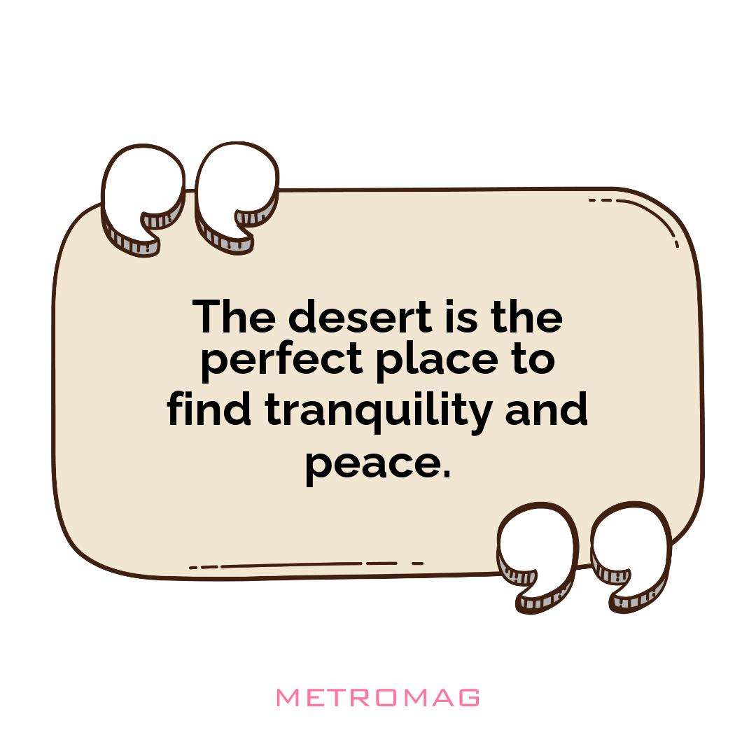 The desert is the perfect place to find tranquility and peace.
