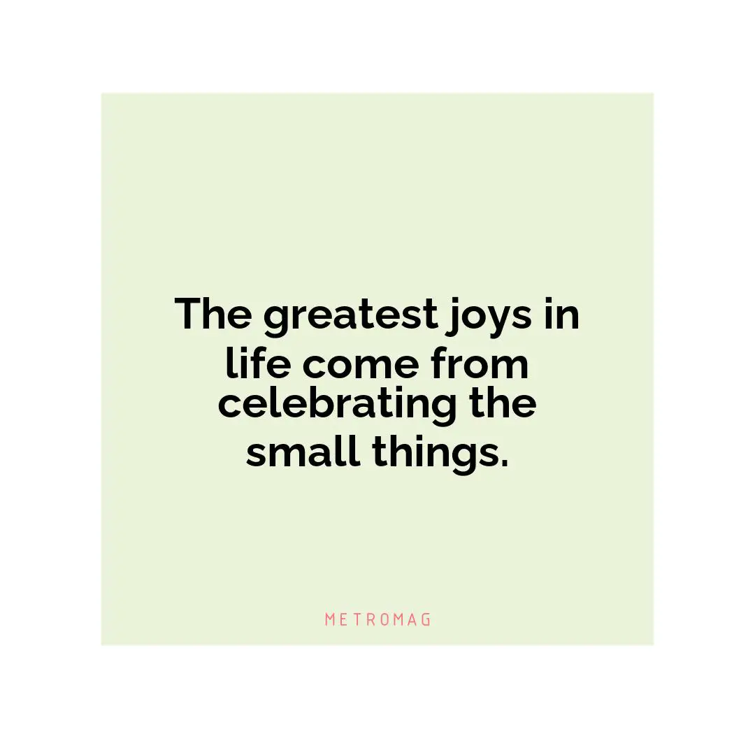 The greatest joys in life come from celebrating the small things.