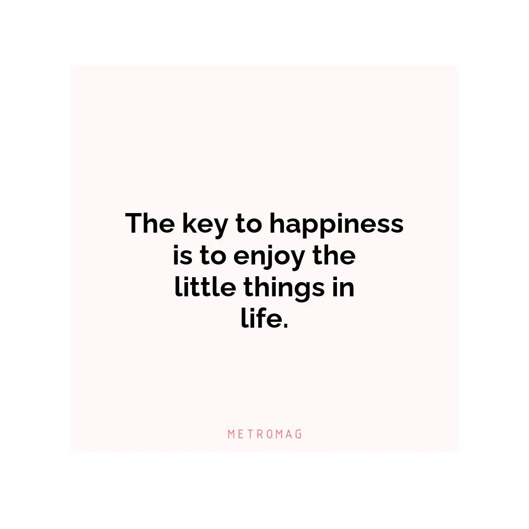 The key to happiness is to enjoy the little things in life.