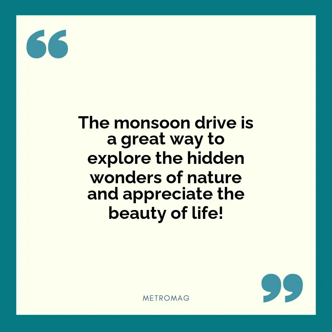 The monsoon drive is a great way to explore the hidden wonders of nature and appreciate the beauty of life!