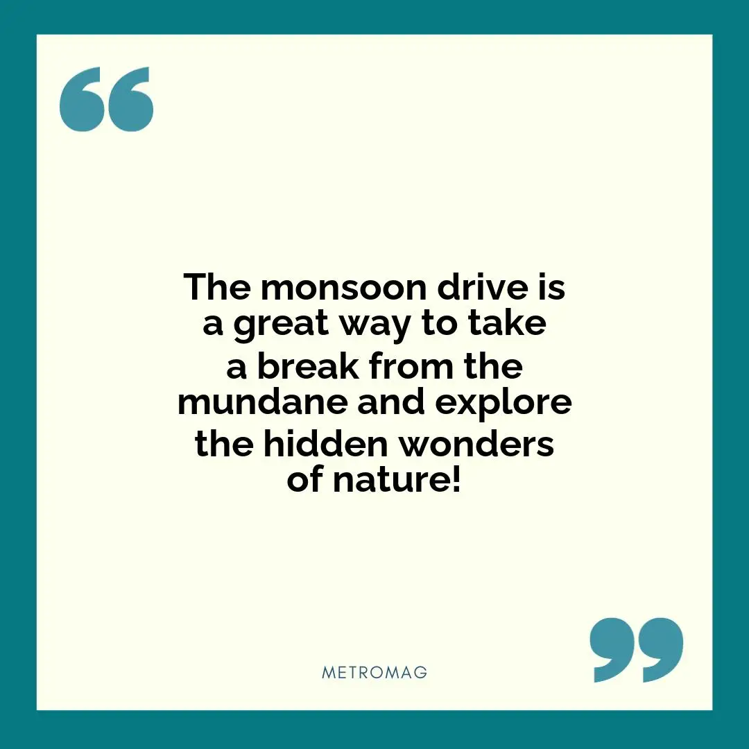 The monsoon drive is a great way to take a break from the mundane and explore the hidden wonders of nature!