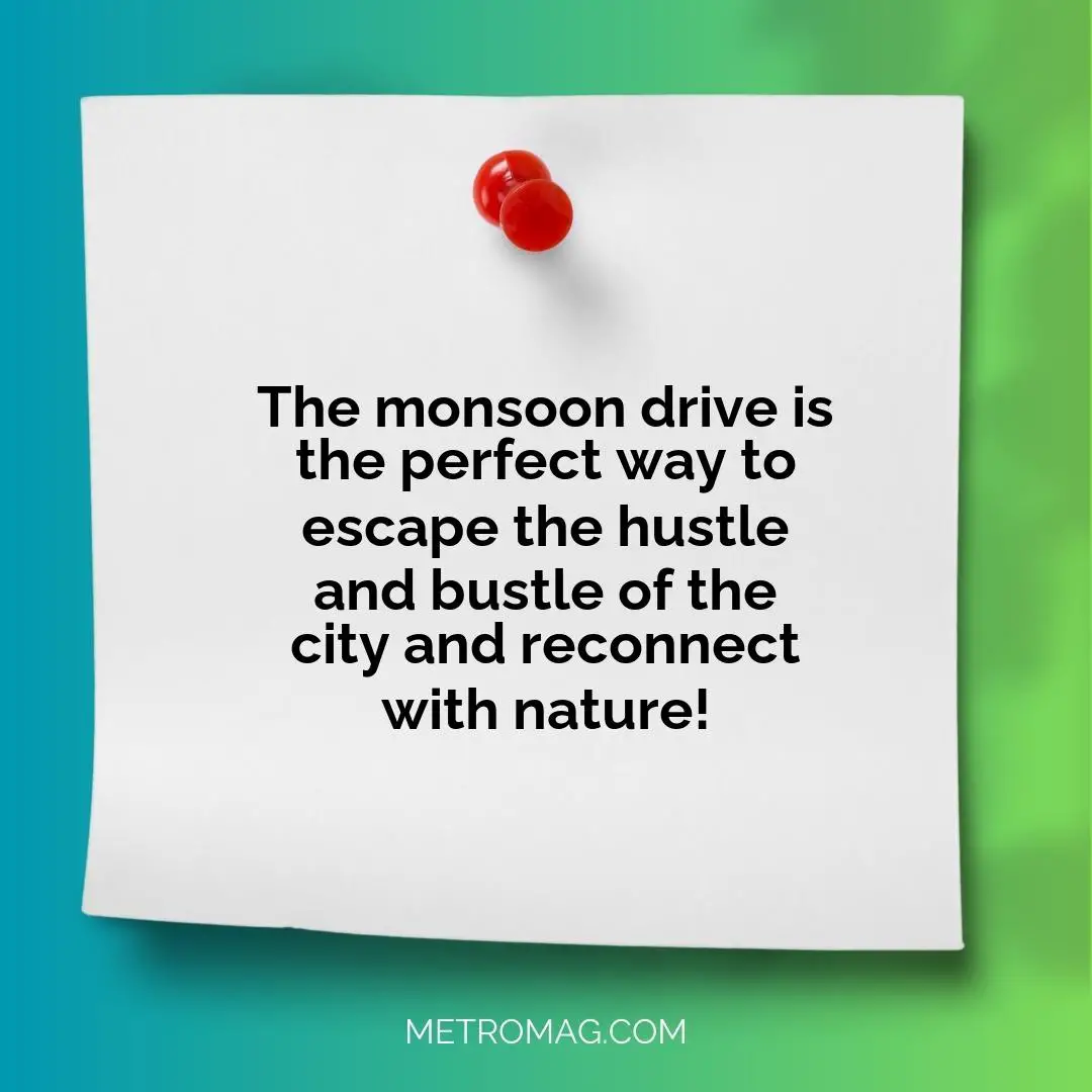 The monsoon drive is the perfect way to escape the hustle and bustle of the city and reconnect with nature!