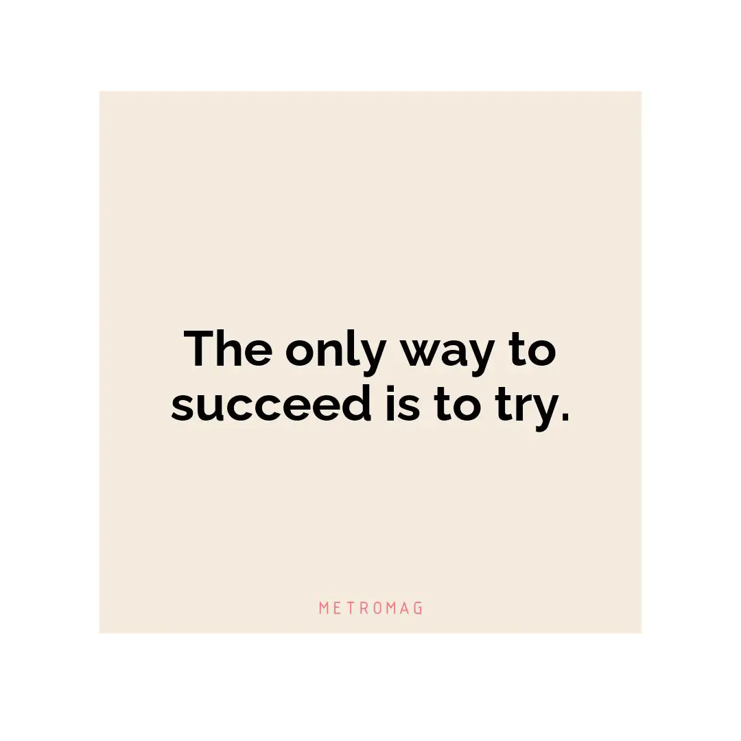 The only way to succeed is to try.