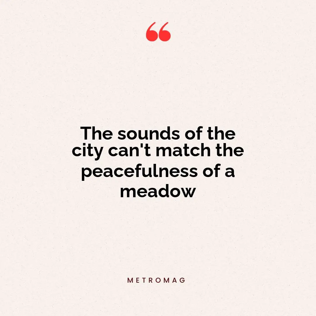 The sounds of the city can't match the peacefulness of a meadow