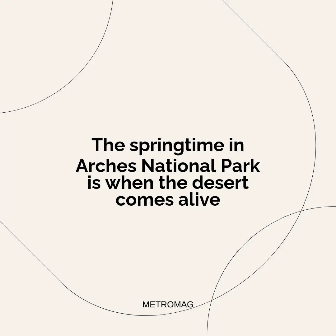 The springtime in Arches National Park is when the desert comes alive