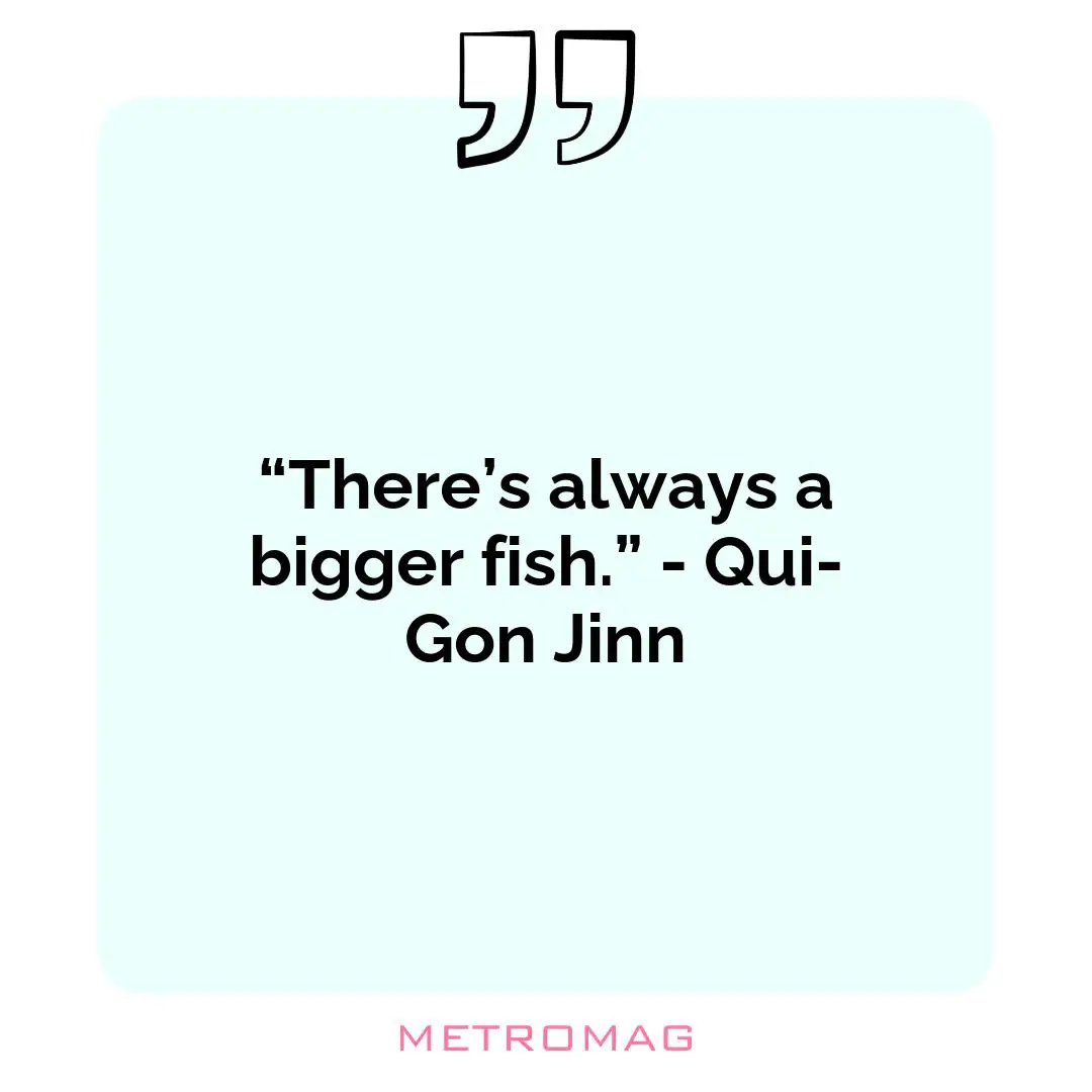 “There’s always a bigger fish.” - Qui-Gon Jinn