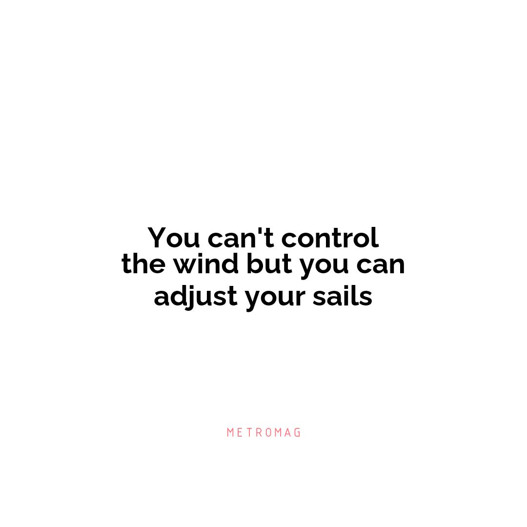 You can't control the wind but you can adjust your sails