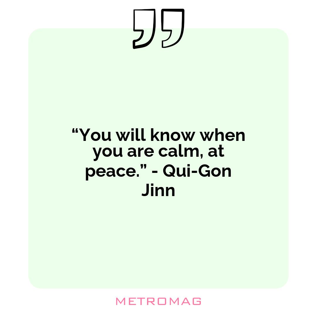 “You will know when you are calm, at peace.” - Qui-Gon Jinn
