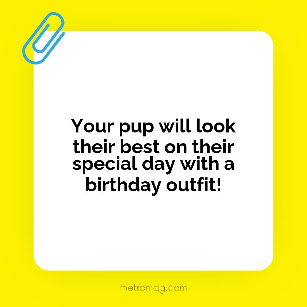 Your pup will look their best on their special day with a birthday outfit!