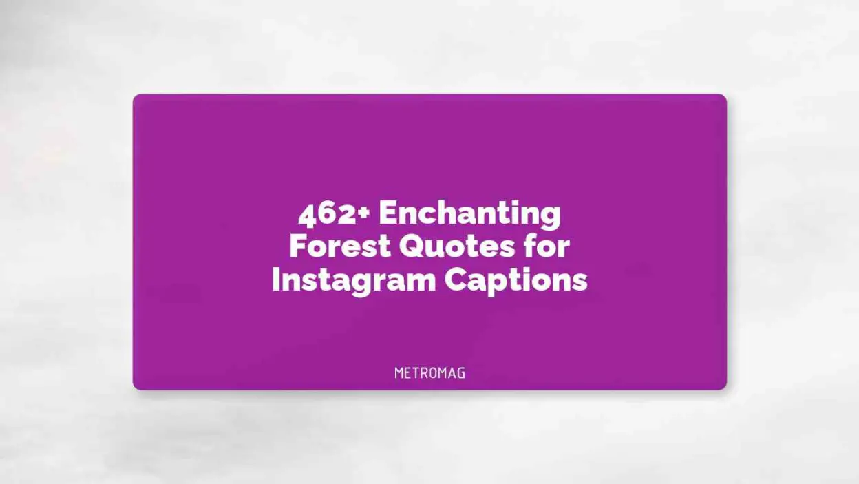 462+ Enchanting Forest Quotes for Instagram Captions