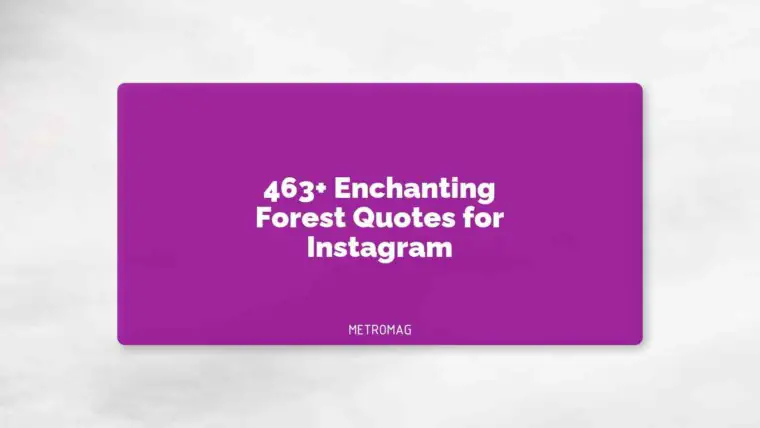 463+ Enchanting Forest Quotes for Instagram