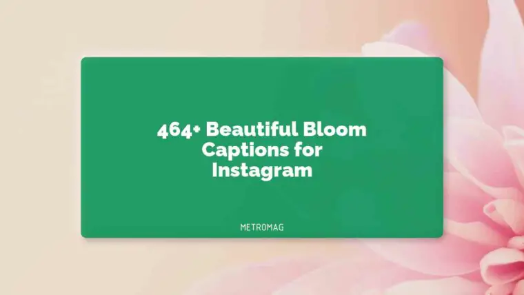 464+ Beautiful Bloom Captions for Instagram