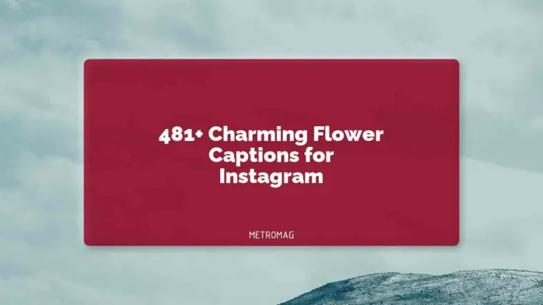 481+ Charming Flower Captions for Instagram