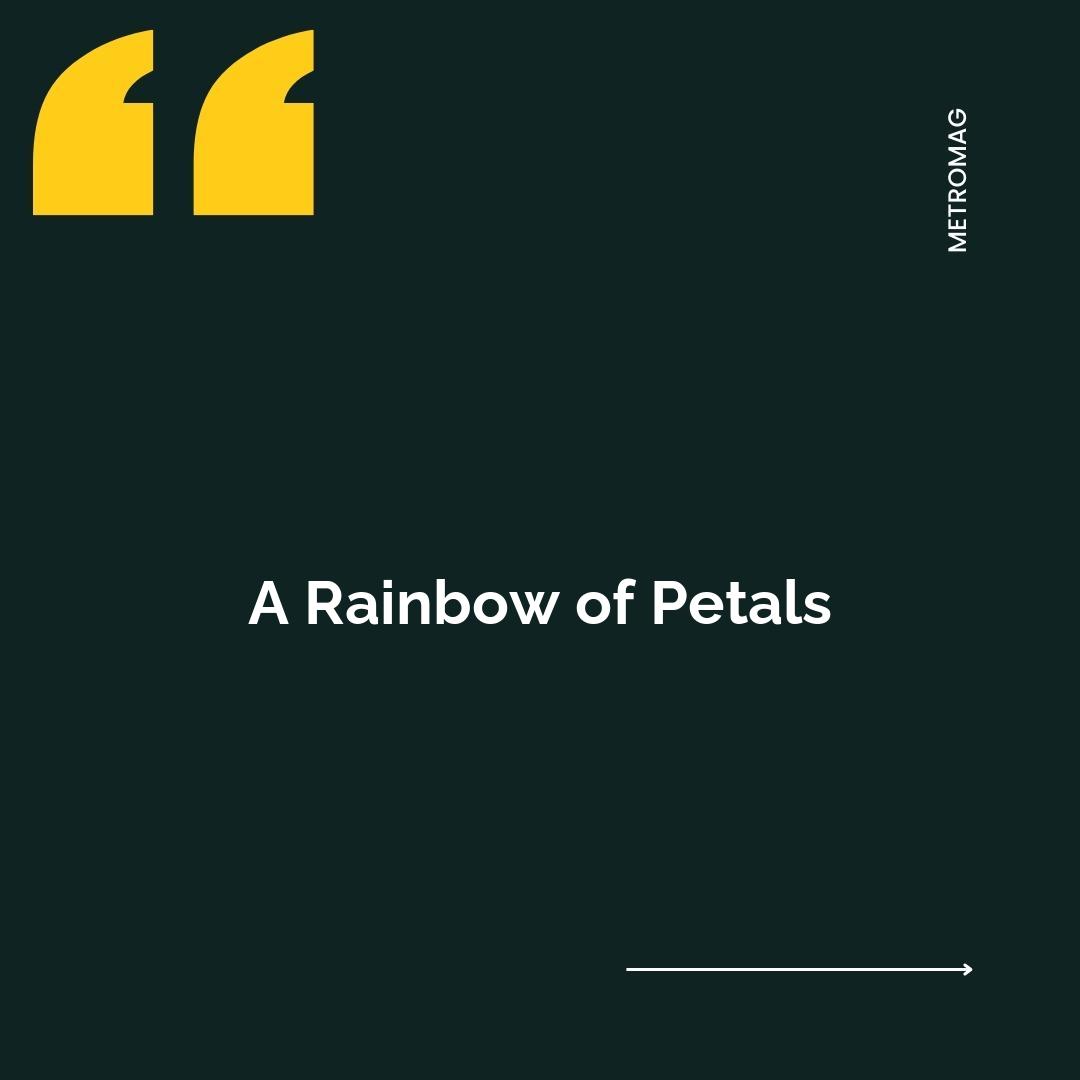 A Rainbow of Petals