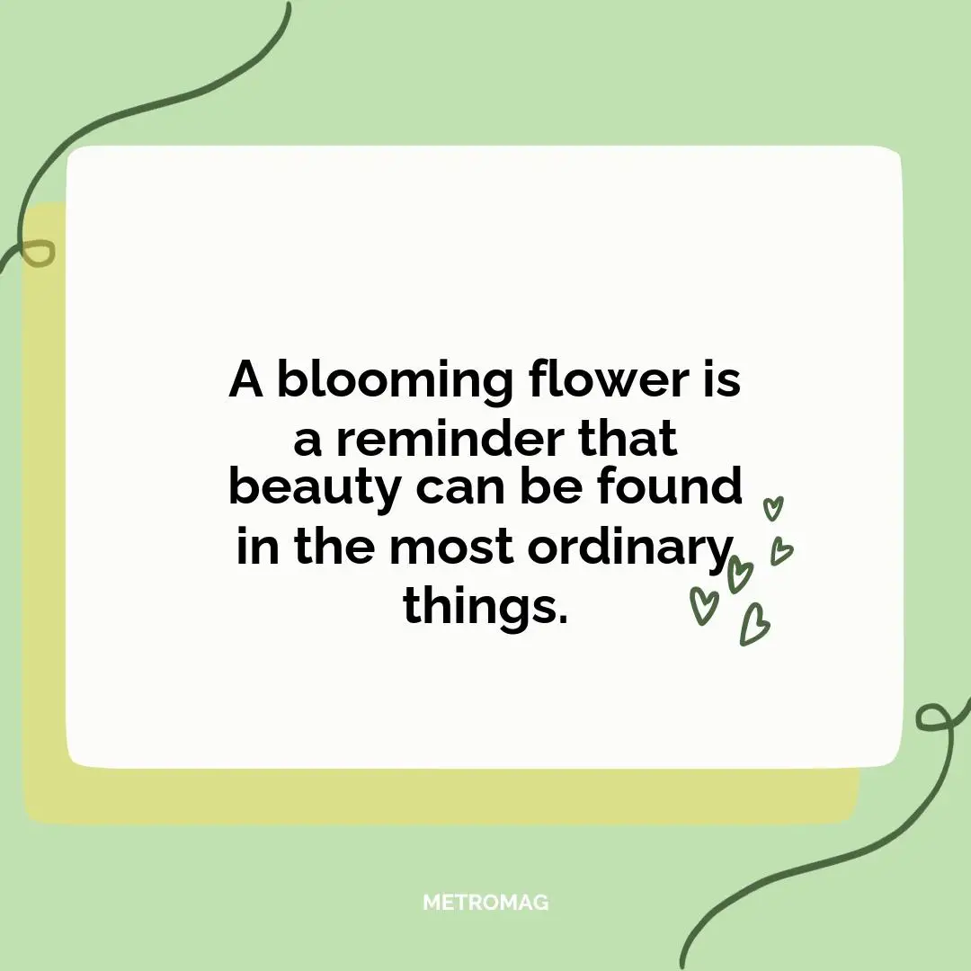 A blooming flower is a reminder that beauty can be found in the most ordinary things.