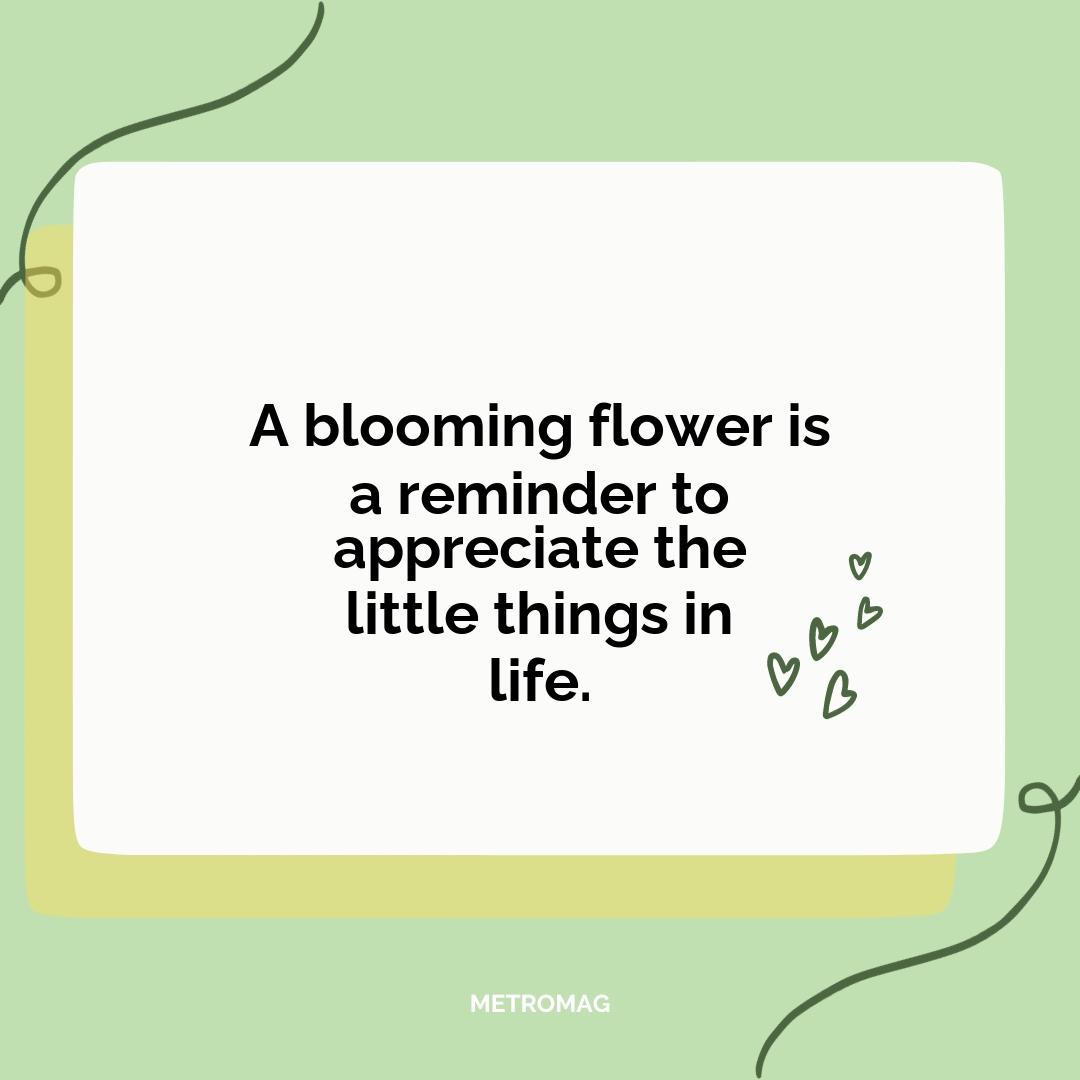 A blooming flower is a reminder to appreciate the little things in life.