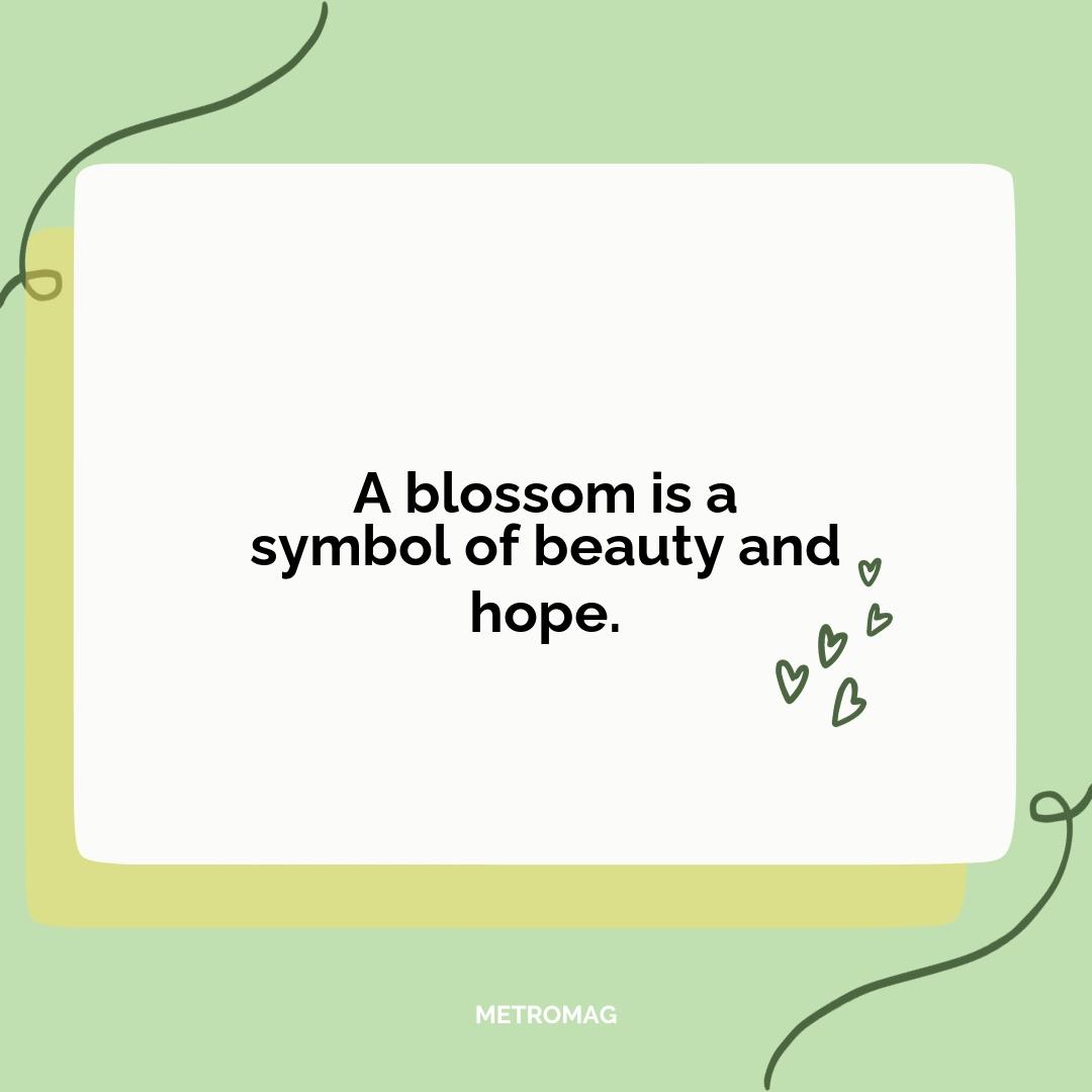 A blossom is a symbol of beauty and hope.