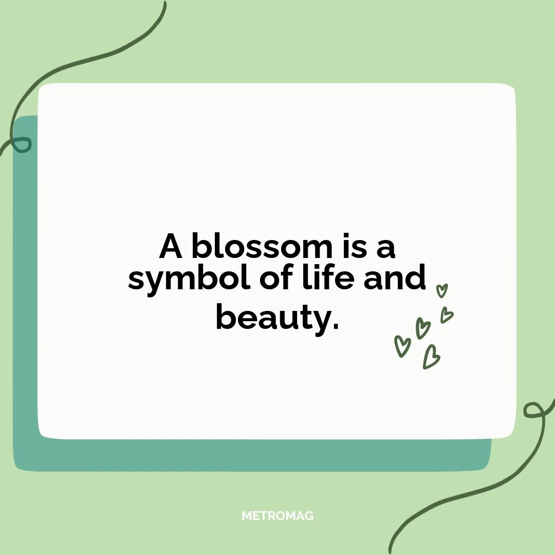 A blossom is a symbol of life and beauty.