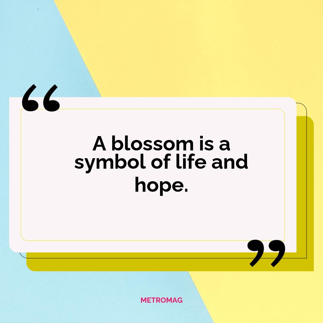 A blossom is a symbol of life and hope.