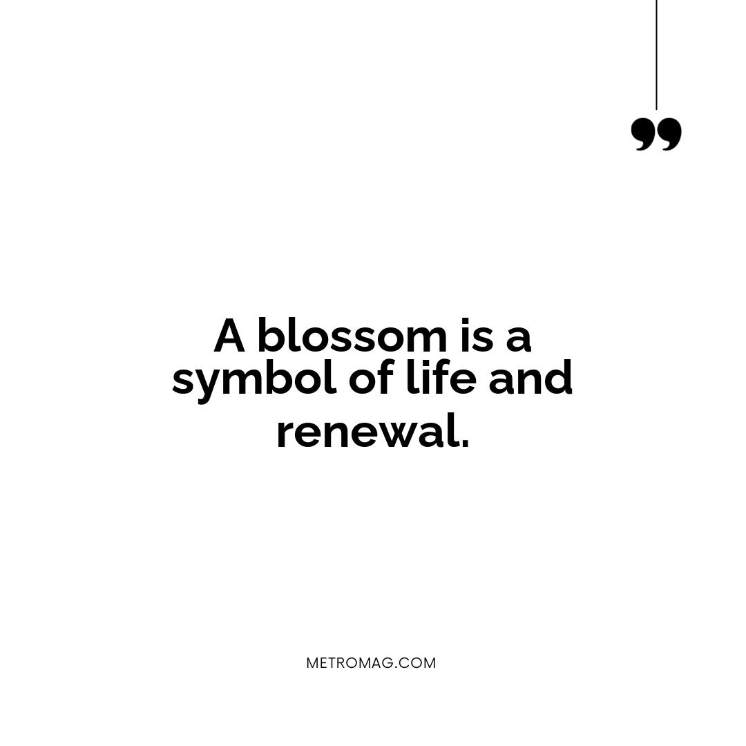 A blossom is a symbol of life and renewal.
