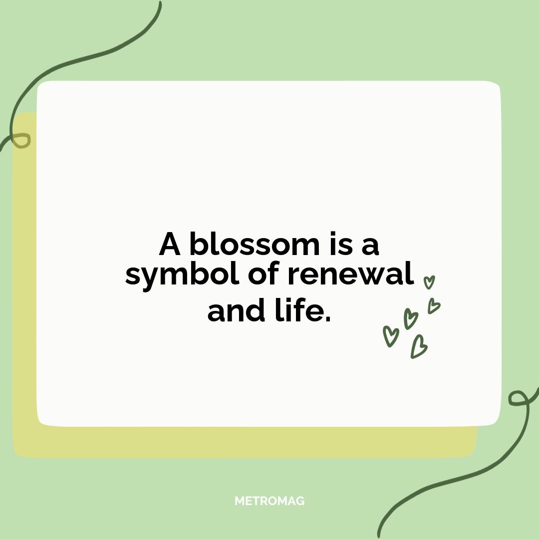 A blossom is a symbol of renewal and life.