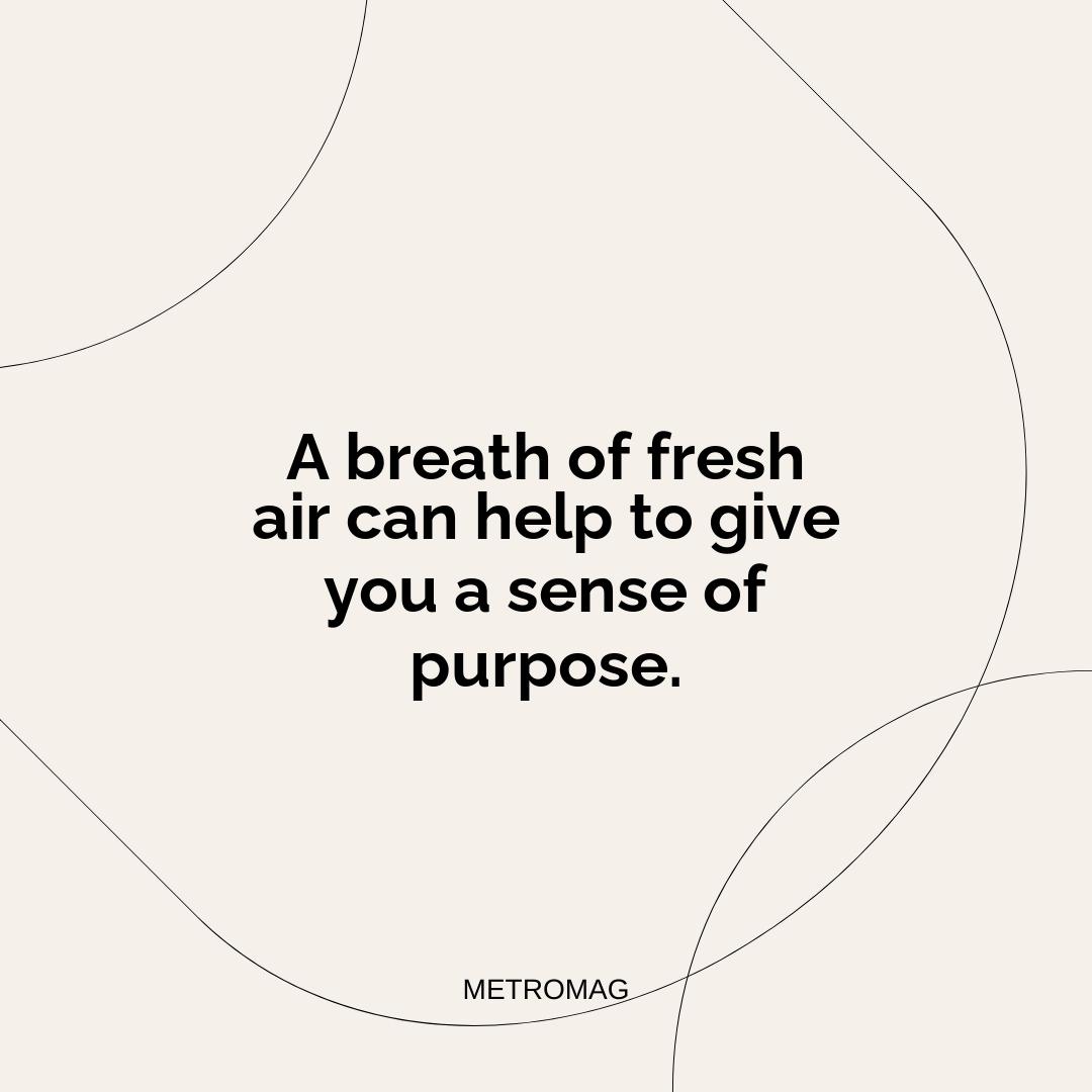 A breath of fresh air can help to give you a sense of purpose.