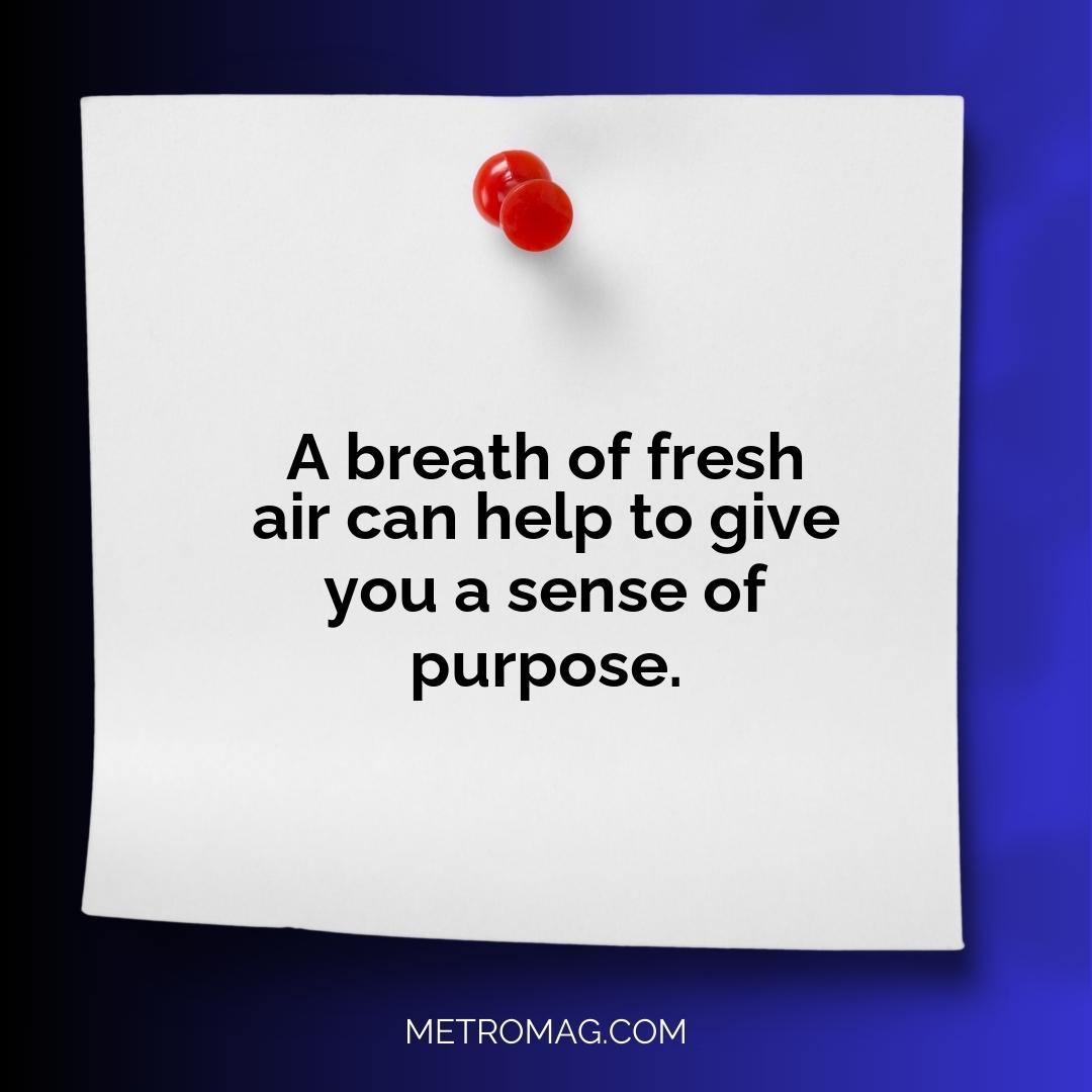 A breath of fresh air can help to give you a sense of purpose.