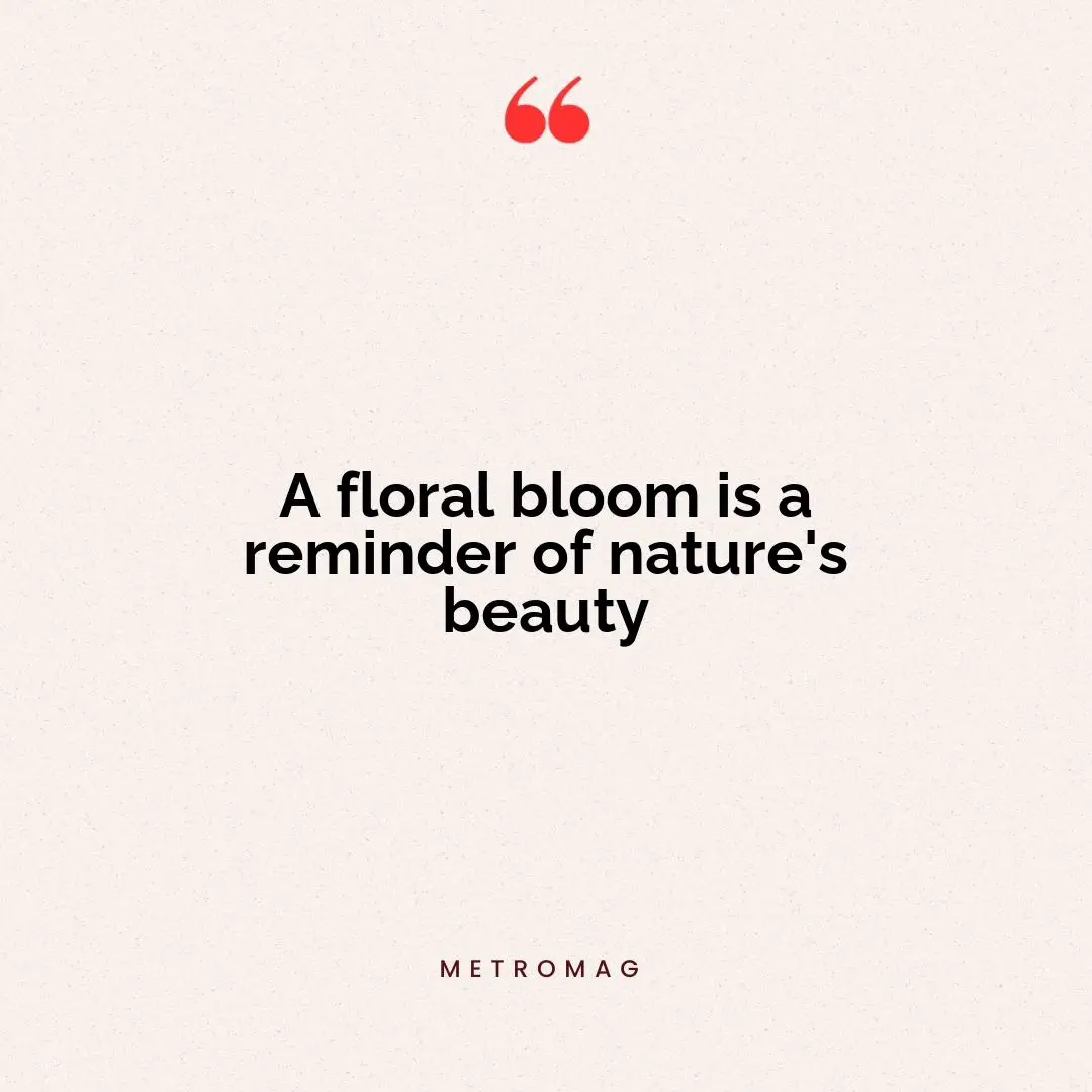 A floral bloom is a reminder of nature's beauty