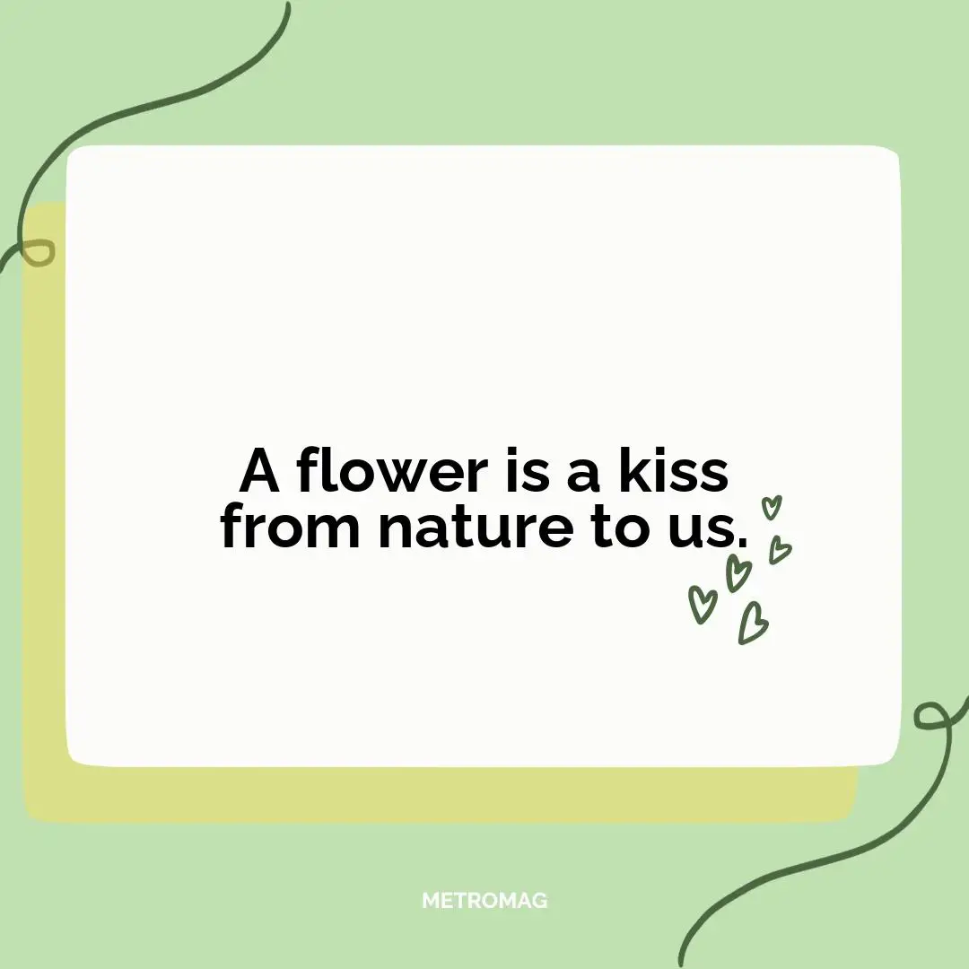 A flower is a kiss from nature to us.
